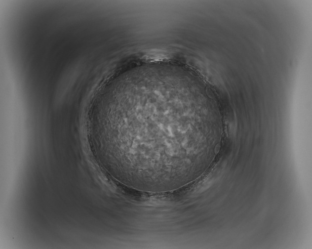 X0000114541393200910191332