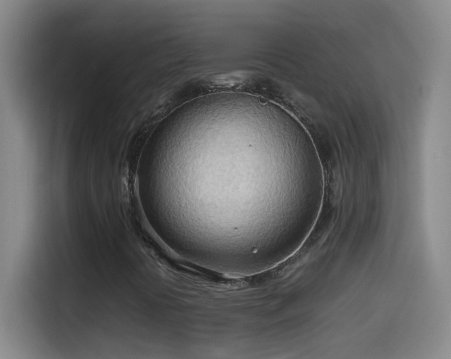 X0000114541394200910191332