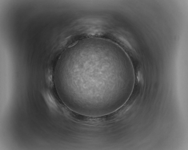 X0000114541396200910191332