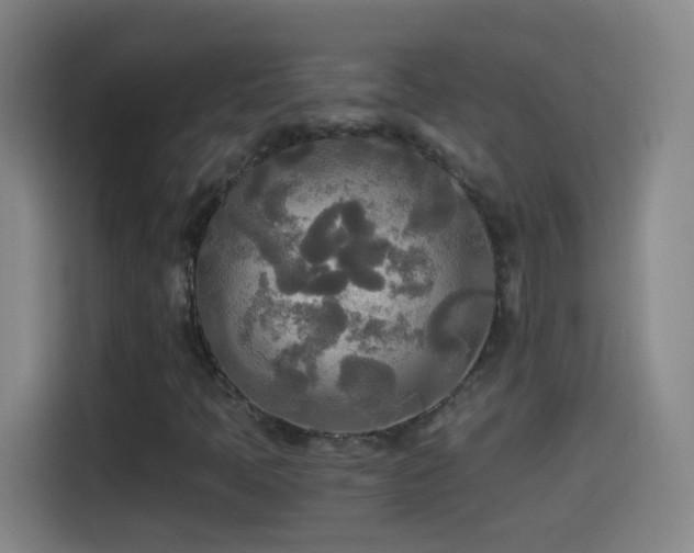 X0000114541397200910191332