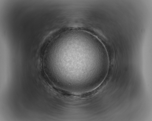 X0000114541398200910191332