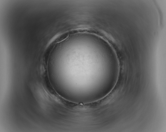 X0000114541400200910191332