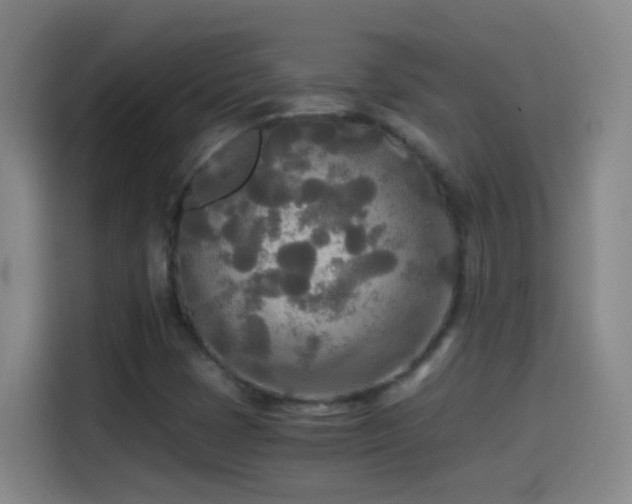 X0000114541401200910191332