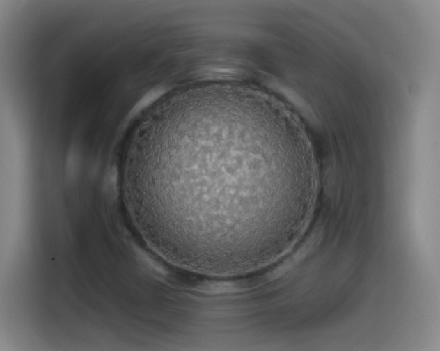 X0000114541402200910191332