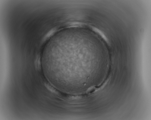 X0000114541403200910191332