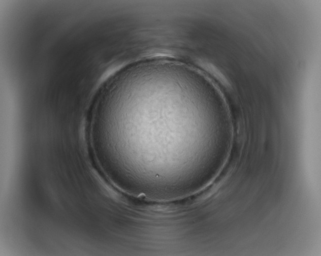 X0000114541404200910191332