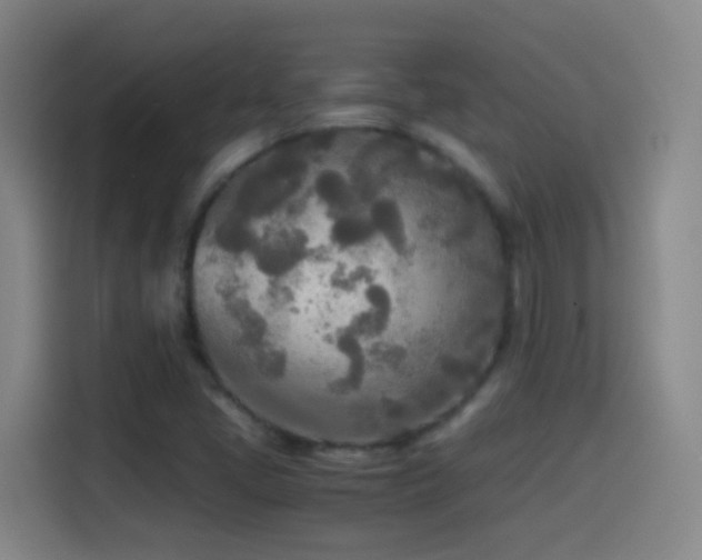 X0000114541405200910191332