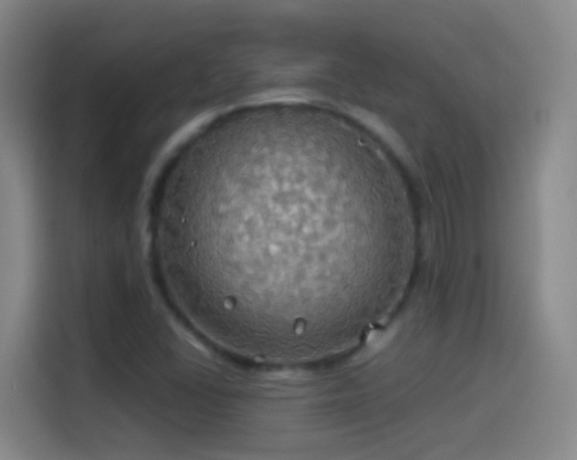 X0000114541406200910191332