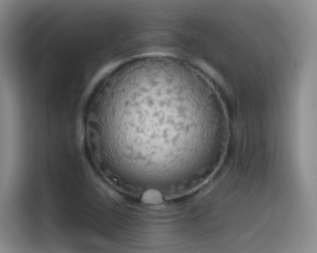 X0000114541408200910191332