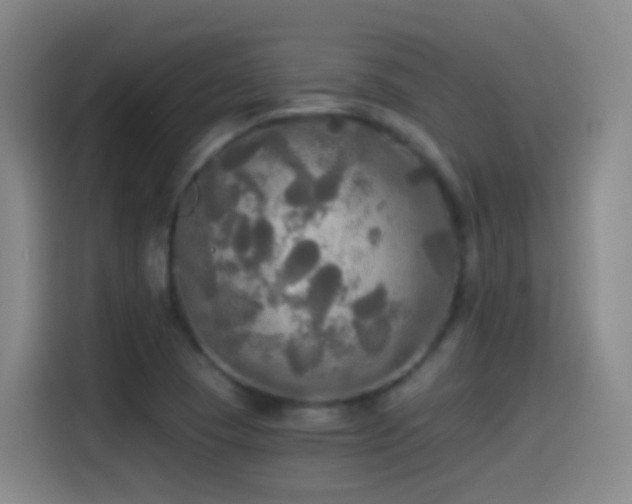 X0000114541409200910191332