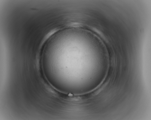 X0000114541410200910191332