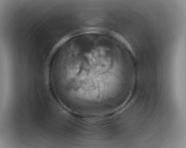 X0000114541411200910191333