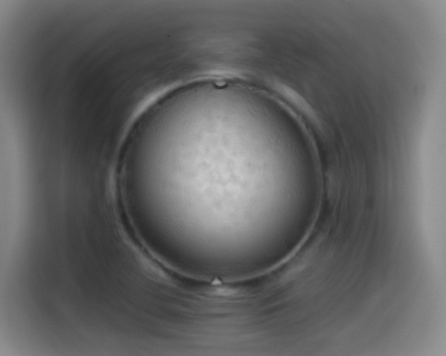 X0000114541412200910191333