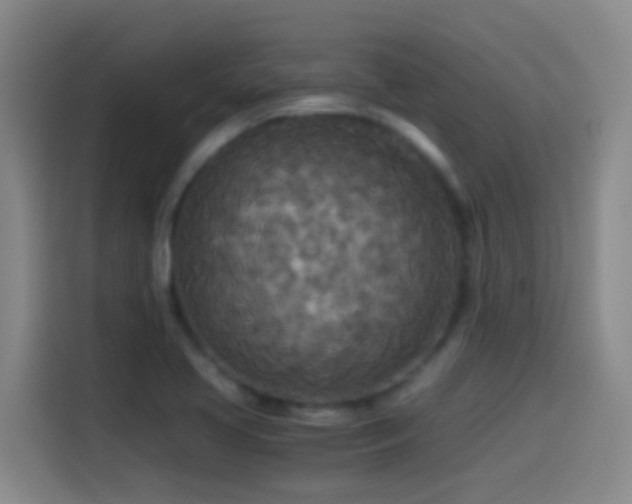 X0000114541413200910191333