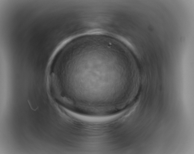 X0000114541414200910191333