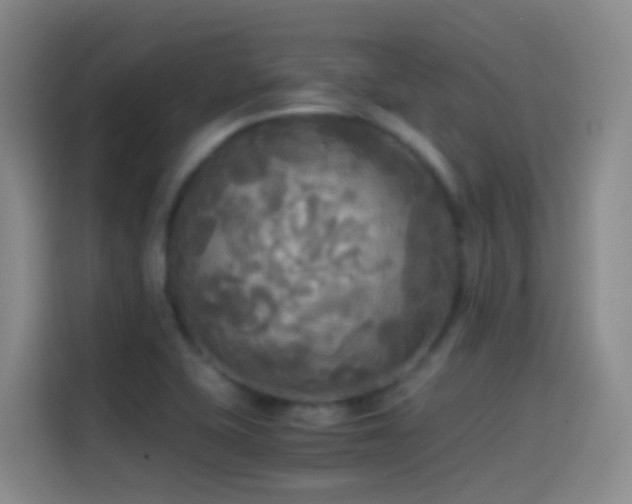 X0000114541415200910191333