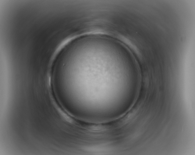 X0000114541416200910191333