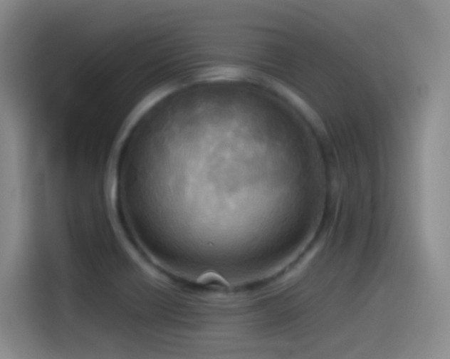 X0000114541418200910191333