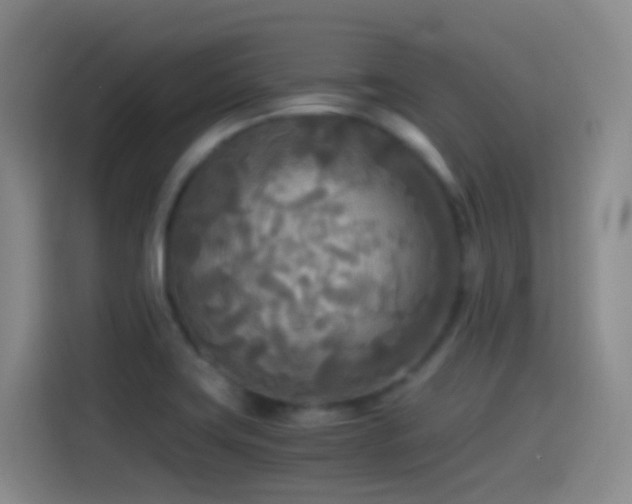 X0000114541419200910191333