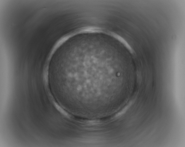 X0000114541421200910191333