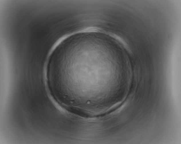 X0000114541422200910191333