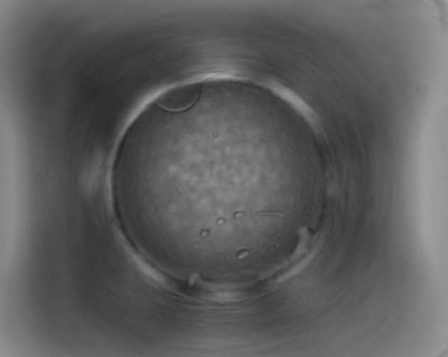 X0000114541423200910191333