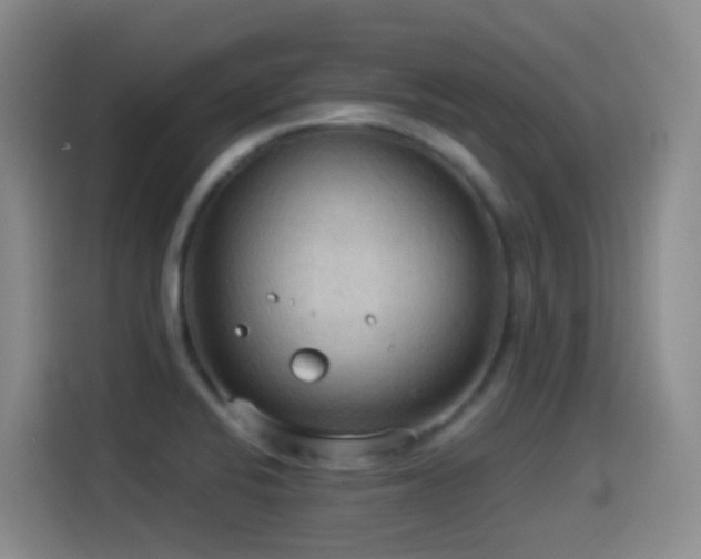 X0000114541424200910191333