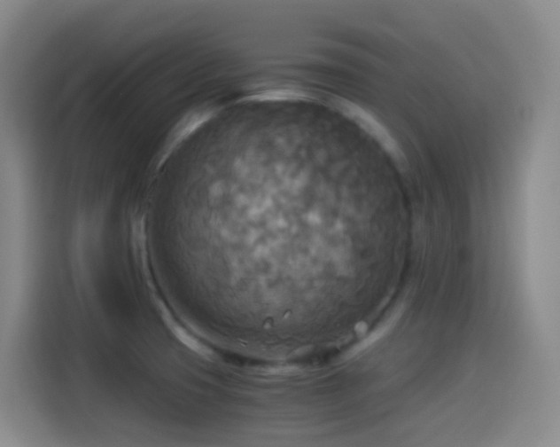 X0000114541425200910191333