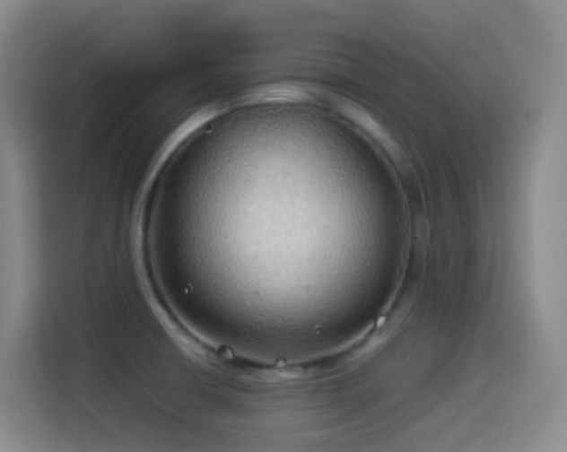 X0000114541426200910191333