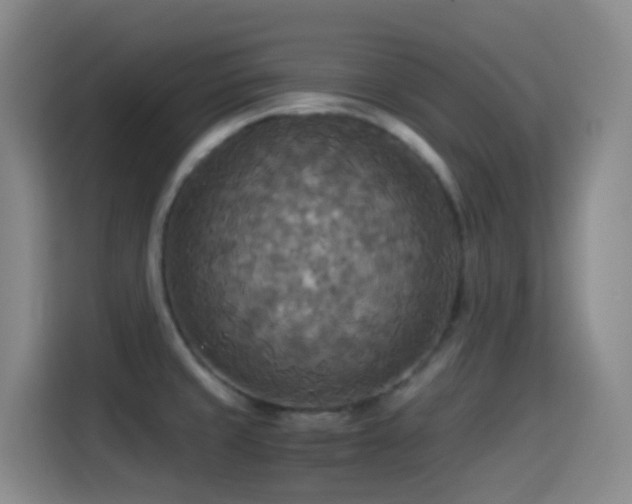 X0000114541429200910191333