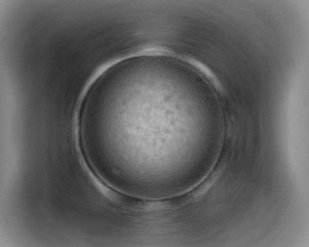 X0000114541430200910191333