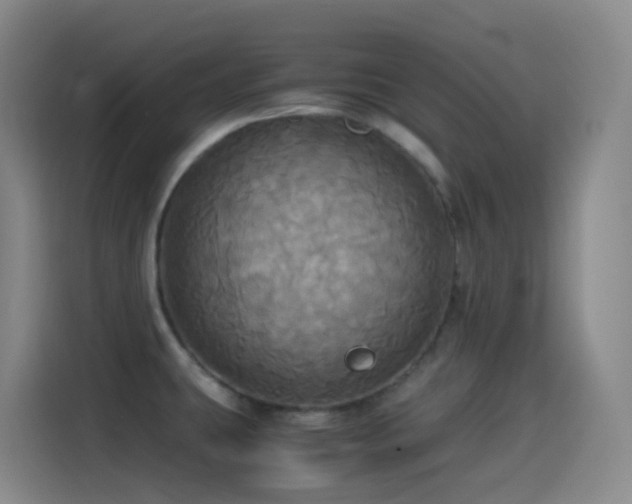 X0000114541431200910191333