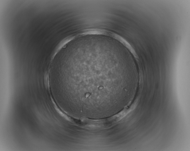 X0000114541433200910191333