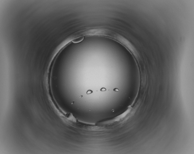 X0000114541434200910191333