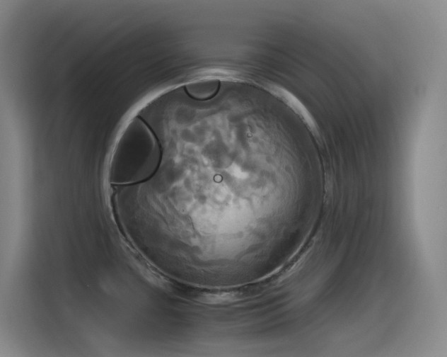 X0000114541435200910191333