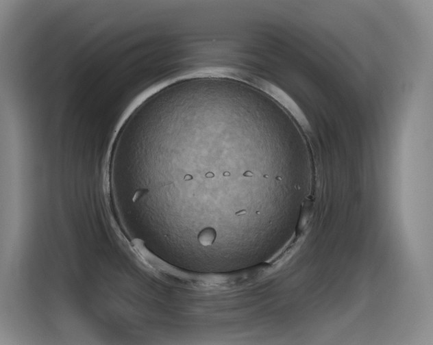 X0000114541436200910191333