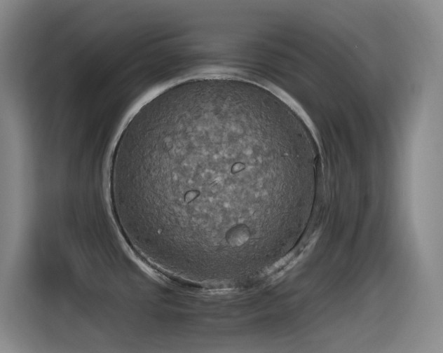 X0000114541437200910191333