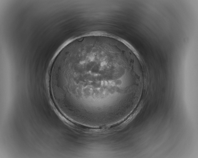 X0000114541438200910191333