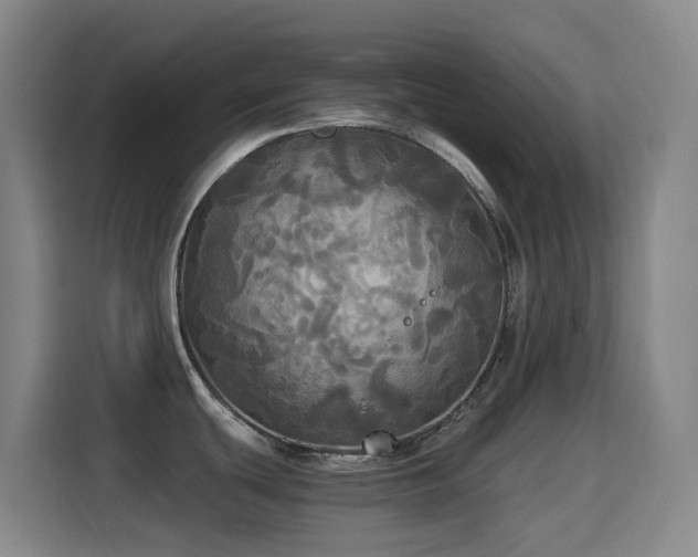 X0000114541439200910191333