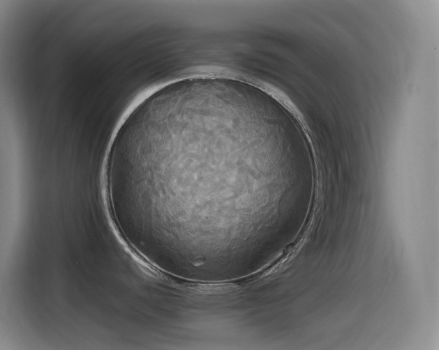 X0000114541440200910191333