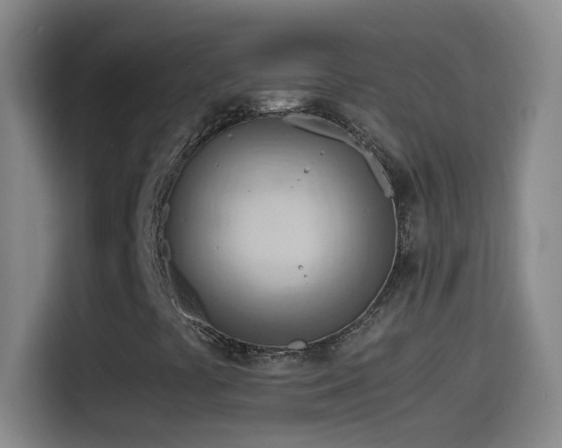 X0000114541441200910191332