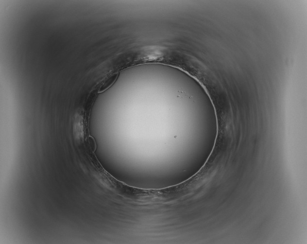 X0000114541442200910191332