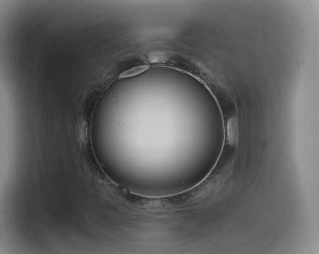 X0000114541443200910191332