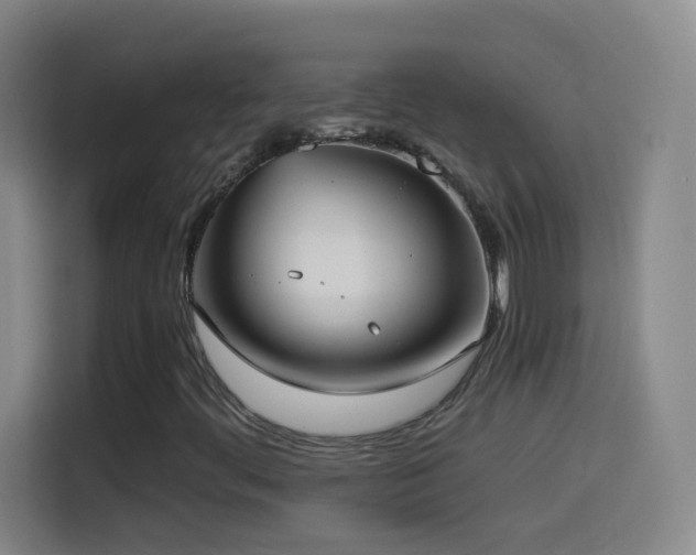 X0000114541444200910191332