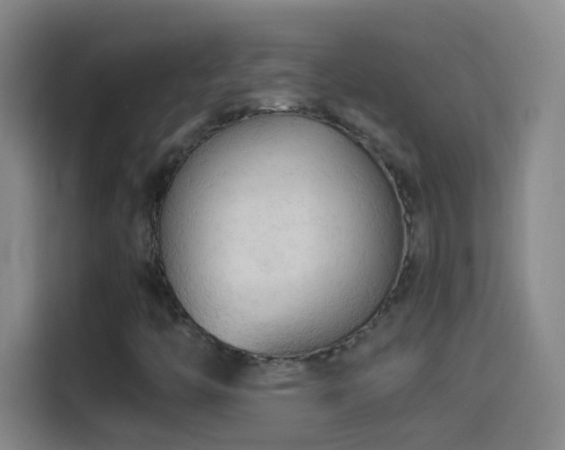 X0000114541446200910191332