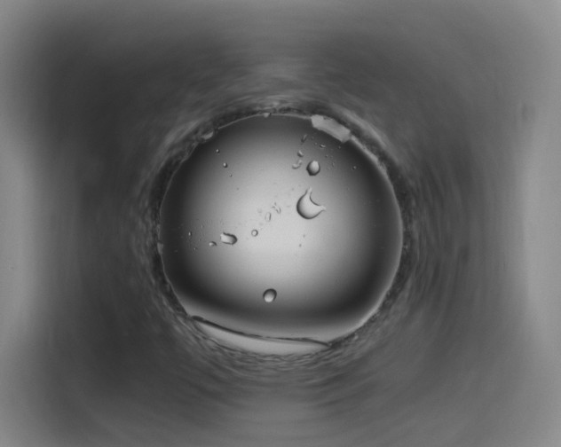 X0000114541447200910191332