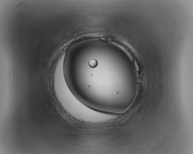 X0000114541448200910191332