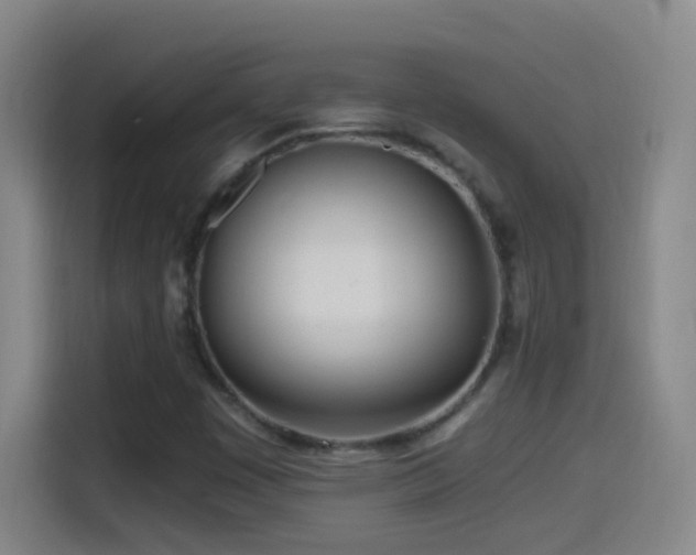 X0000114541449200910191332