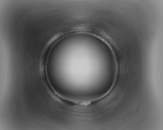 X0000114541450200910191332