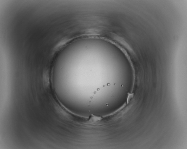 X0000114541451200910191332